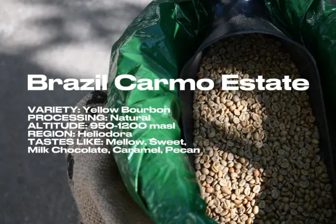 [Green] Brazil Fazenda Carmo Estate