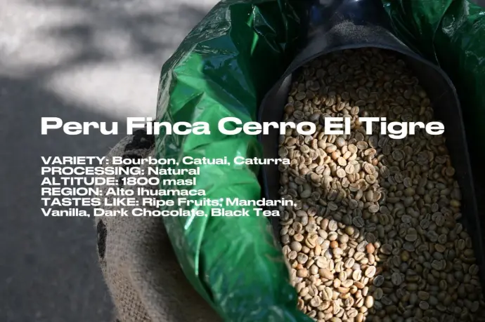 [Green] Peru Cerro El Tigre