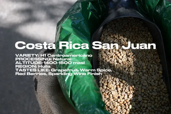 [Green] Costa Rica San Juan Natural