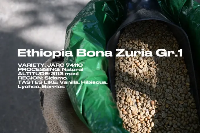 [Green] Ethiopia Sidamo Gr1 Bona Zuria