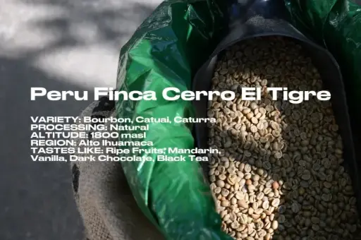 [Green] Peru Cerro El Tigre