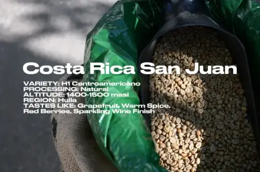 [Green] Costa Rica San Juan Natural