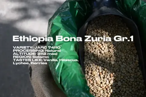 [Green] Ethiopia Sidamo Gr1 Bona Zuria